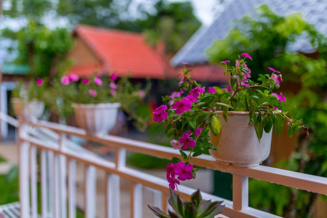 Pomelo Homestay 퐁냐 외부 사진