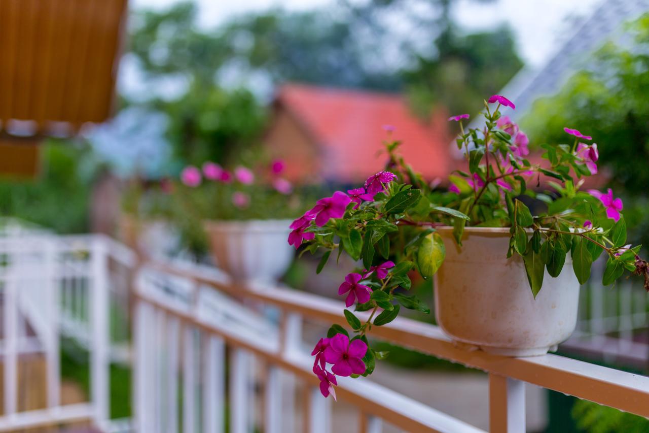 Pomelo Homestay 퐁냐 외부 사진