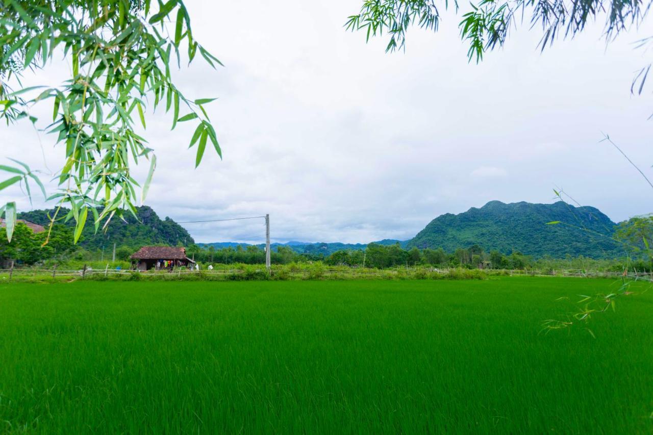 Pomelo Homestay 퐁냐 외부 사진